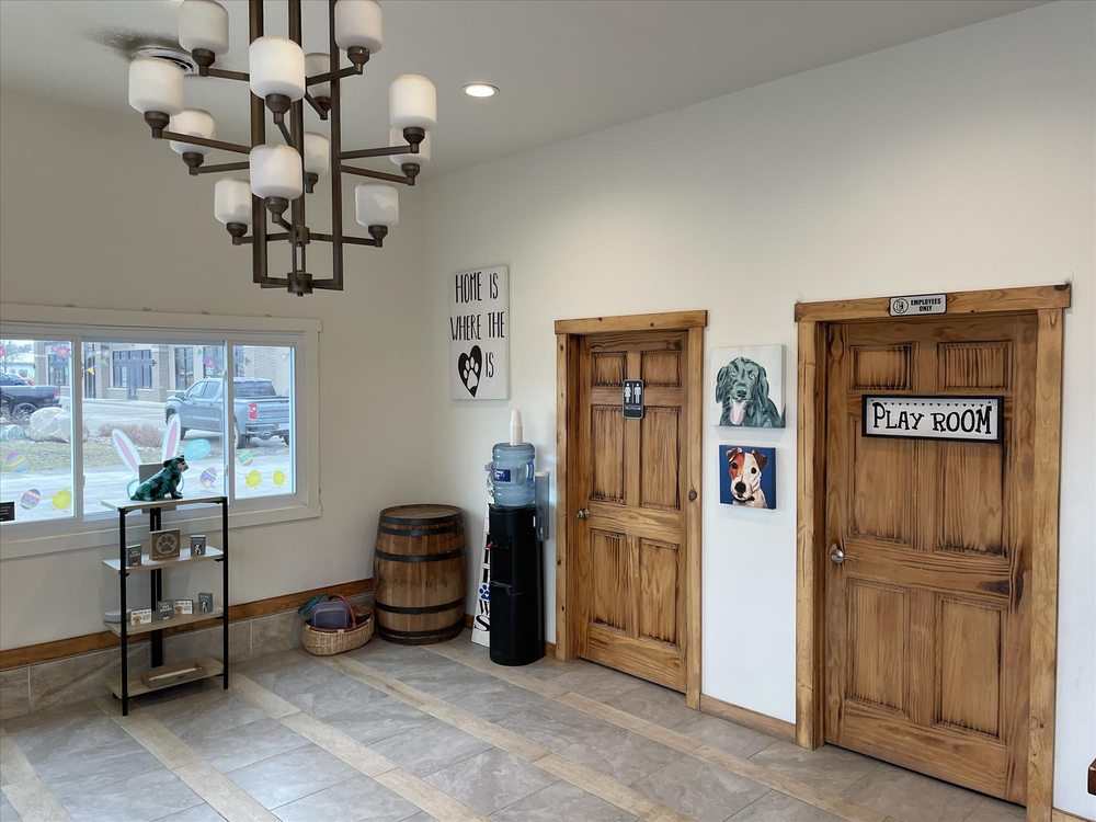 WILD PAWS Updated October 2024 7050 NE 14th St, Ankeny, Iowa Pet Boarding Phone Number