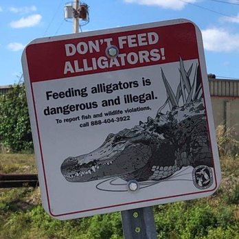 John Yarbrough Linear Park - Wildlife we didn't see - Parks Near Me - Fort Myers, Florida