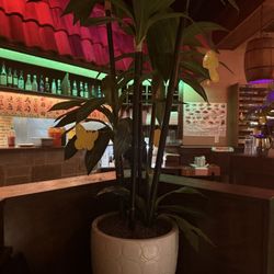 Thai Square Sushi & Bar - Great booth spot