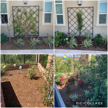 Moon Valley Nurseries - Tree Services Near Me - Irvine, California