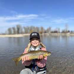 R R 406 Fly Fishing Guides - Bitterroot River Brown Trout