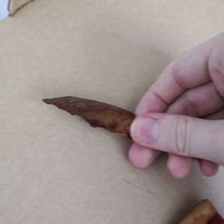 Domino's Pizza - This is crusty