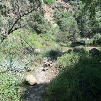 Ben Overturff Trail - Hiking Near Me - Monrovia, California