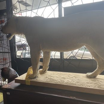 Rainy Day Revival - Taxidermic lion -ethically sourced - Antiques Near Me - Chamblee, Georgia