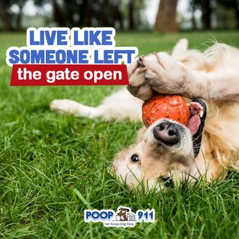 POOP 911 - Pet Waste Removal Near Me POOP 911 - Pet Waste Removal Near Me