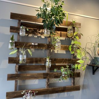 Brew Haha Coffeehouse - Plants - Coffee & Tea Near Me - Overland Park, Kansas Brew Haha Coffeehouse - Plants - Coffee & Tea Near Me - Overland Park, Kansas