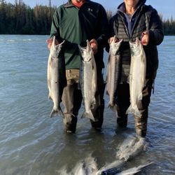 Alaskan Fishing Adventures - Another morning salmon haul on the Kenai. Brought home 145 pounds of fish each year. Gotta love the salmon!
