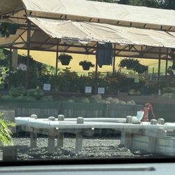 Ramsey's Farm - Offerings