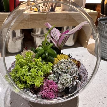 Succulence - My creation - Team Building Activities Near Me