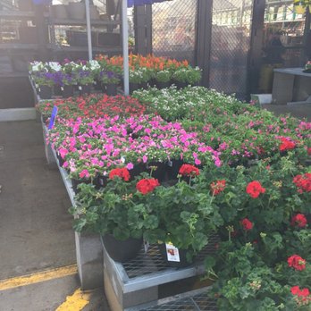 The Home Depot - Nurseries & Gardening Near Me - New Braunfels, Texas The Home Depot - Nurseries & Gardening Near Me - New Braunfels, Texas
