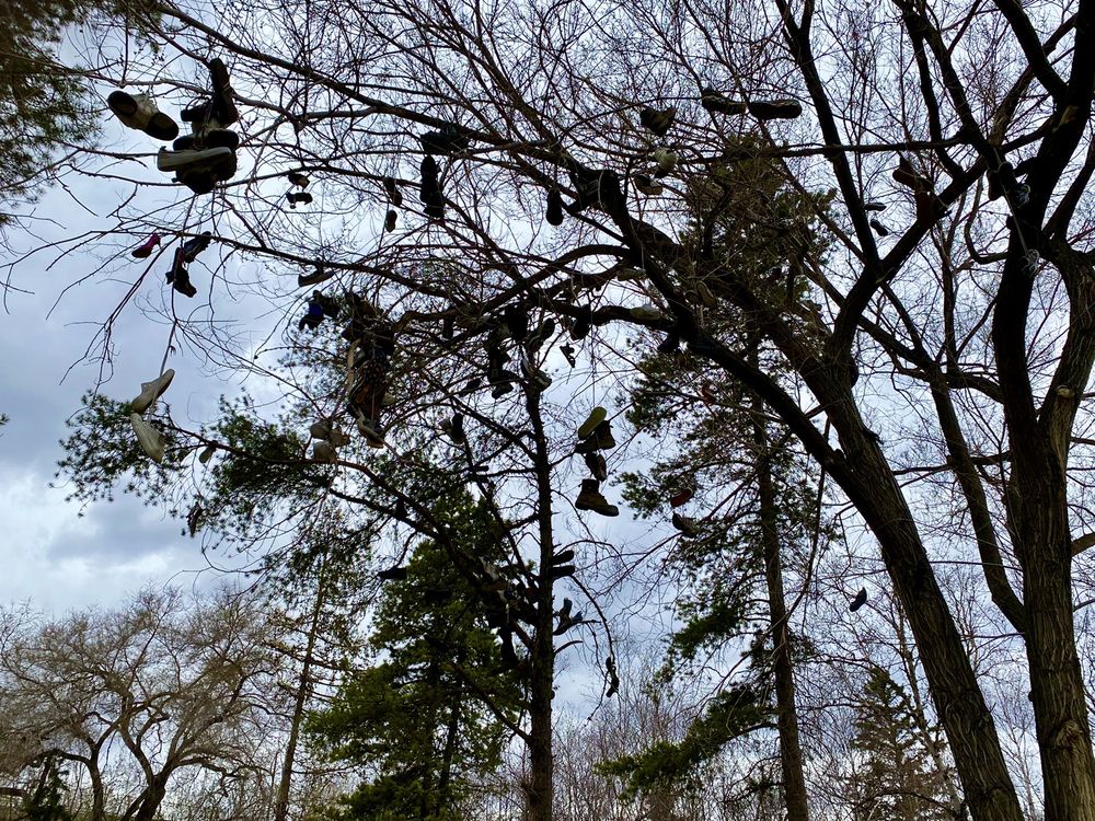 KINSMEN PITCH ‘N’ PUTT GOLF COURSE Updated October 2024 40 Photos