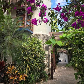 Howlita - The entrance to the hotel - Hotels Near Me - Ejido, ROO