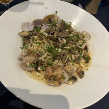 Dolce Italia - Italian Near Me - Sarasota, Florida Dolce Italia - Italian Near Me - Sarasota, Florida