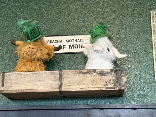 The Highlander Public House by null