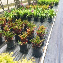 Mar-Pines Nursery
