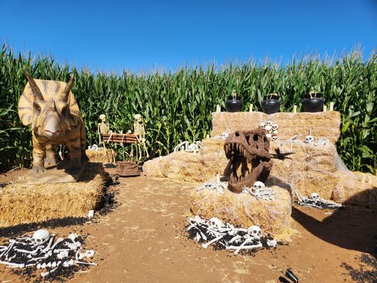 Carlsbad Strawberry Company by null