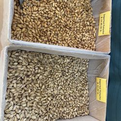 Aladdin Nut House - Amazing pistachios imported