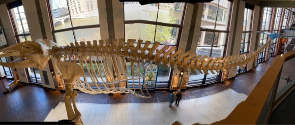 Grand Rapids Public Museum by null