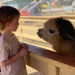 Farm School OC - Saying hello to our farm friends. We have daily animal interactions