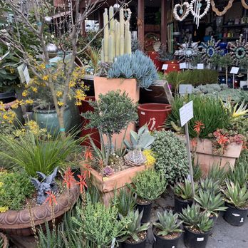 Evergreen Garden Center - Nurseries & Gardening Near Me - Clovis, California Evergreen Garden Center - Nurseries & Gardening Near Me - Clovis, California