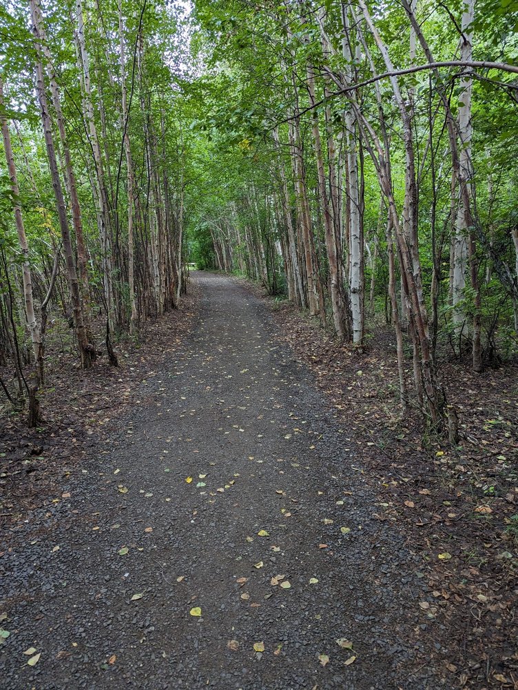 Wedgewood Wildlife Sanctuary