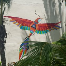 Casa Iguana Hotel - Hotel wall near pool