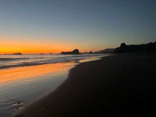 Harris Beach by null