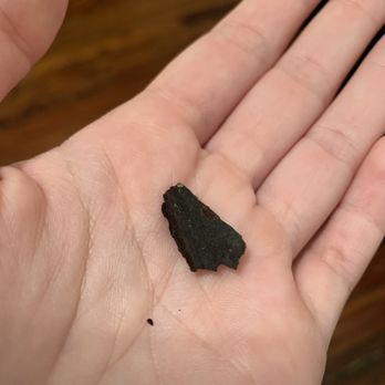 Agra Taj Mahal - Piece of wood from my dish - Indian Near Me - Brooklyn, New York