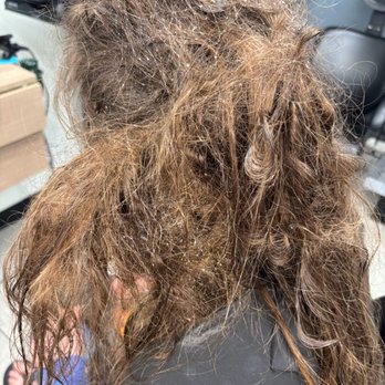 Hair Cuttery - Hair Stylists Near Me - Lake Mary, Florida Hair Cuttery - Hair Stylists Near Me - Lake Mary, Florida