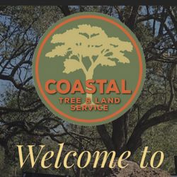 Coastal Tree & Land Services - The face page of our website