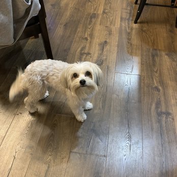 VCA Valley Oak Veterinary Center - Veterinarians Near Me - Chico, California