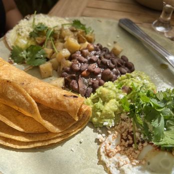 Fig Tree - This tasted a little bland too. None of my friends ate the tortilla. They said it was too hard - Cafes Near Me - Los Angeles, California