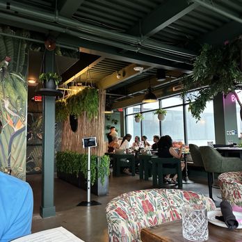 Treehouse Rooftop - Wine Bars Near Me - Washington, DC, District of Columbia Treehouse Rooftop - Wine Bars Near Me - Washington, DC, District of Columbia