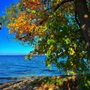 Photo of Picnic Point