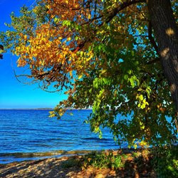 Picnic Point