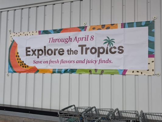 Whole Foods Market by null