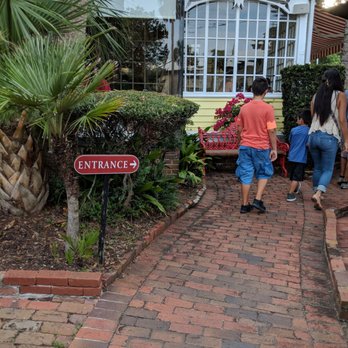 The Raintree Restaurant - American Near Me - Saint Augustine, Florida