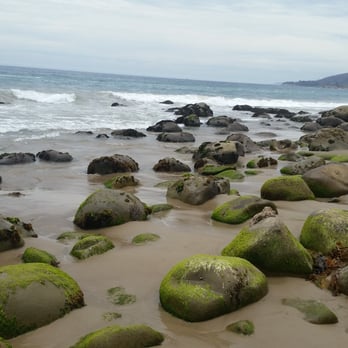 El Capitan State Beach - Parks Near Me - Goleta, California