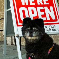 Teri's This-N-That - Yes, we're open.