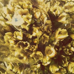 Flowers on Oxford
