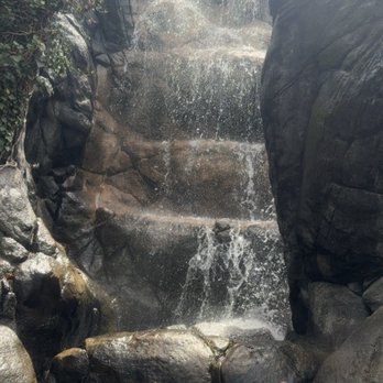 Zoo Knoxville - Zoos Near Me - Knoxville, Tennessee