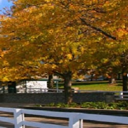 Sturtevant Funeral Home