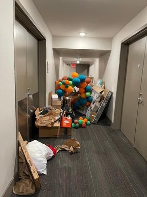 Green Leaf Lotus by null