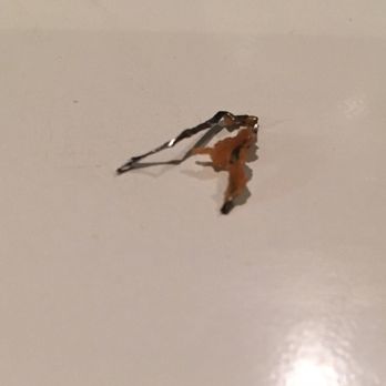 Wu's Garden - Shard of metal in my food after already biting into rocks/dirt. - Chinese Near Me - Littleton, Colorado Wu's Garden - Shard of metal in my food after already biting into rocks/dirt. - Chinese Near Me - Littleton, Colorado