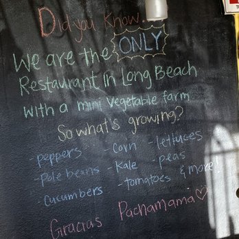 Casa Chaskis - Did You Know... Casa Chaski's Has A Mini Farm? - Peruvian Near Me - Long Beach, California Casa Chaskis - Did You Know... Casa Chaski's Has A Mini Farm? - Peruvian Near Me - Long Beach, California