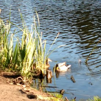 Lake Temescal - Parks Near Me - Oakland, California