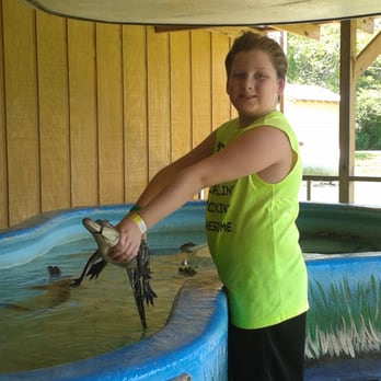 Insta-Gator Ranch & Hatchery - Gator petting and handling worth the $5 extra - Tours Near Me - Covington, Louisiana Insta-Gator Ranch & Hatchery - Gator petting and handling worth the $5 extra - Tours Near Me - Covington, Louisiana
