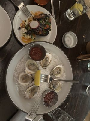 One Legged Magpie by null