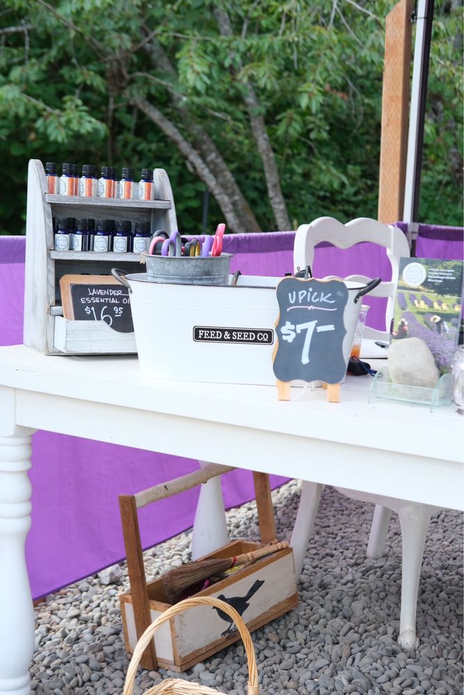 Bates Lavender Farm - beekeeping in Corbett, OR