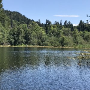 Lake Boren Park on Yelp